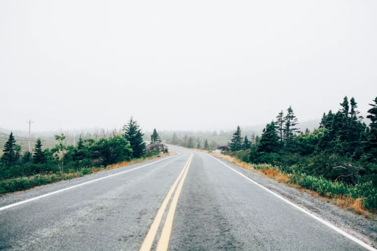 A quiet road disappearing into soft fog between trees and grass.